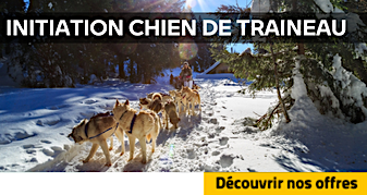 INITIATION CHIEN DE TRAINEAU ACOM EVENEMENTS